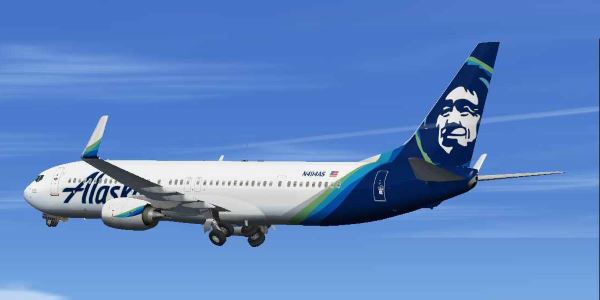 PMDG 737-800 for Microsoft Flight Simulator - PMDG Simulations LLC